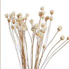 Living Room Aromatic Incense Dried Flowers Artificial Flower Diffuser Sticks
