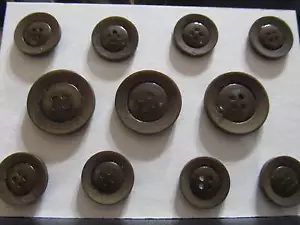 BLAZER suit BUTTON Set 4 Hole 24/32 Horn Effect Rim / Pearl Finish Spinach 11p - Picture 1 of 1