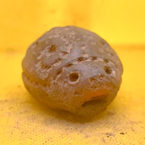 Neolithic ceramic whistle, Ornament Trypillia culture - Picture 1 of 8