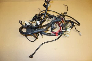 BMW F650 F650 FUNDURO 1994-1996 cableado telar arnés eléctrico ver descripción - Imagen 1 de 12