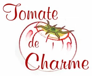 10 seltene Tomatensamen Grosse du Vaucluse heirloom tomato seeds met.bio  - Bild 1 von 1