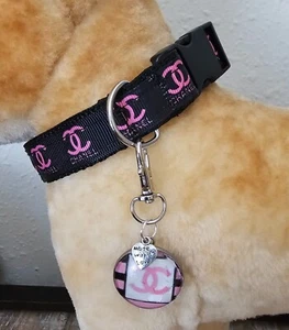 Elegant dog collar, collar for doge, luxury collar for dog with removable tag SM - Picture 1 of 1