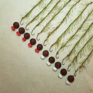 10 x WEED EFFECT HAIR RIGS LOADED WITH 15MM KRILL & CRAYFISH BOILIES FLYNSCOTMAN - Picture 1 of 5