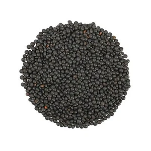 Organic Black Lentils - Non-GMO, Kosher, Raw, Vegan - by Food To Live - Picture 1 of 36