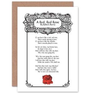 Robert Burns Song Lyrics Red Rose Love Scotland Blank Greeting Card