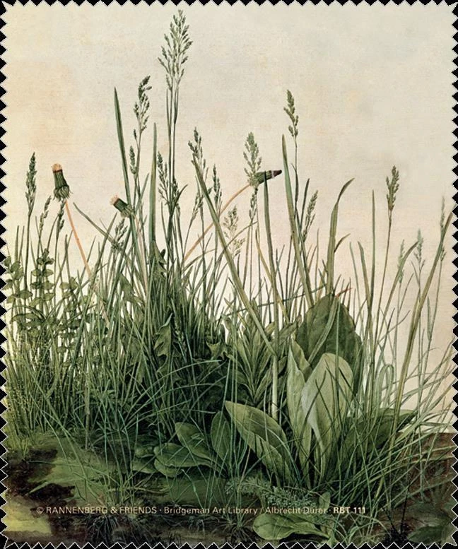 Brillenputztuch / Microfasertuch "Das große Rasenstück" Rannenberg & Friends NEU