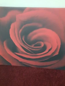 Large Red Rose Wall Art Canvas - Picture 1 of 5