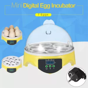 7 uova incubatrice automatica digitale per uova botteghe per polli controllo temperatura - Foto 1 di 11