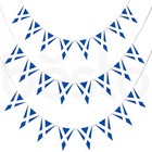 10m Scotland Garden Party Bunting St Andrews Day Football Scottish Flag Banner