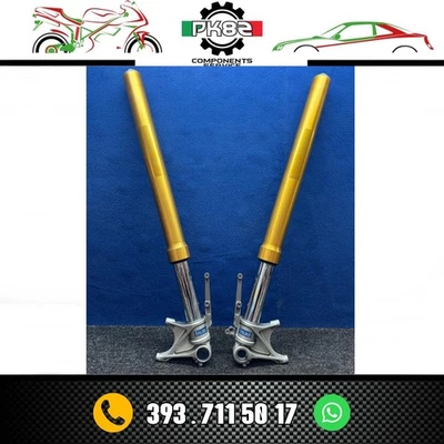 STELI FORCELLA DUCATI MULTISTRADA 1200 S ABS OHLINS 2010 2012 FG8603 USATIOTTIMI - Imagem 1 de 4
