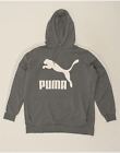 Puma Mens Graphic Hoodie Jumper Xl Grey Bn25