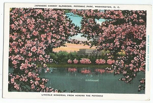 Lincoln Memorial from Across Potomac Japanese Cherry Blossoms Vintage Postcard - Picture 1 of 2