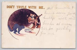 Don’t Trifle With Me Comic Bulldog Cat Humor Postcard Undivided Back c1907 - Picture 1 of 2