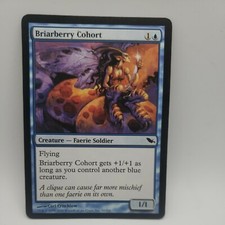 Briarberry Cohort x1 - Shadowmoor - MTG - Near Mint