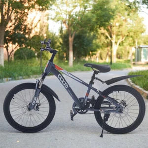 20 Inch Kids Bike Grey Boys Single Peed Bike Disc Break Bicycle Cycle Best Gifts - Picture 1 of 12
