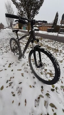 Focus Whistler  3.7 Es ist grau und ein 29 zoller es hat kleine gebrauchsspuren. - Bild 1 von 4