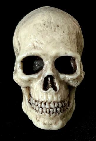 1/6 Scale Custom Highly Realistic SKULL for 12" Action Figure NEW Cover