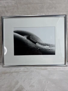 ALLAN TEGER “Rafting”, ‘06 Bodyscapes LE 48/500 SIGNED Photograph Framed 14x11 - Picture 1 of 7
