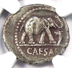 Julius Caesar AR Denarius Silver Elephant Roman Coin 49 BC - NGC Choice VF - Picture 1 of 4