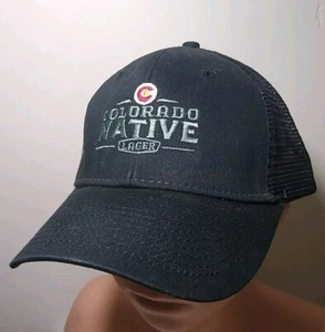 Colorado Native Lager Logo Black Adjustable Hat Snapback Ball Cap Mesh Back - Picture 1 of 6