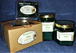 Hand Poured Winter Holiday Scents Soy Candles, Tarts & Votives - Ponderosa Pine