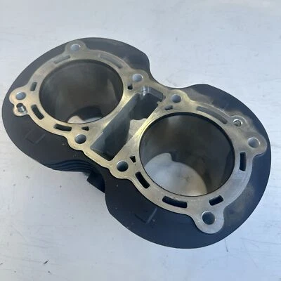 Barriles de cilindro de motor Triumph Bonneville T120 2017 buen estado Foto 1 de 4