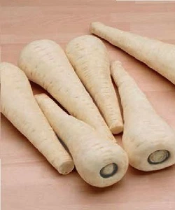 Vegetable - Parsnip - Gladiator F1 - 75 Seeds - Economy - Picture 1 of 1