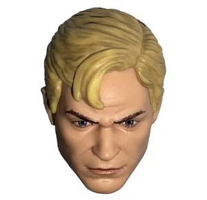 Marvel Legends HANK PYM HEAD West Coast Avengers Amazon 6" Figura Serie - Imagen 1 de 9