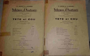 Anatomiepläne - Kopf und Hals 1. und 2. Teil | Guter Zustand - Bild 1 von 1