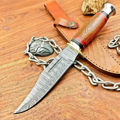 CUCHILLO DE ACERO DAMASCO hecho a mano personalizado cuchillo de caza cuchillo Bowie con funda is-7374 Foto 1 de 4