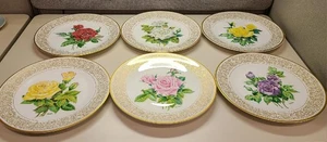 Colección Plato Rosa Boehm 6 Rosas Diferentes - Imagen 1 de 1