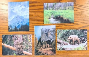 Set/5 Yosemite Conservany Blank Note Cards w/ Envelopes - Picture 1 of 4