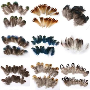 10/20xFasan Peacock Federn Gänsefedern Engelsflügel für   Maske Hut - Picture 1 of 7