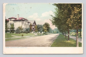 Postcard 11000 Residence Street Denver Colorado ~ 1909 - Picture 1 of 2