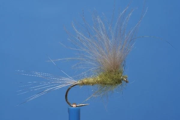 Fliegentom Trockenfliege 3 Stück Helloliv Flymph - Bild 1 von 1