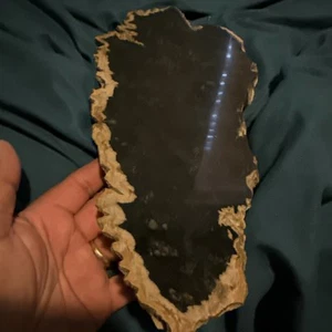 Petrified wood fossil - Bild 1 von 19
