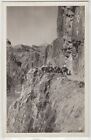 1930S? 40S? Mule Train Rock Path Grand Canyon? Colorado? Ekc Rppc Photo Postcard