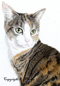 ACEO 2.5" X 3.5" 'Maiden' Cat CANVAS PRINT from Original Watercolour By E.Wardle - Picture 1 of 2