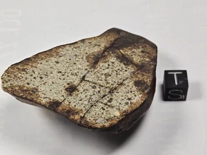 NWA 4851 Stone OC L6 Morocco Found 2007 end cut 120.4 g - Picture 1 of 7