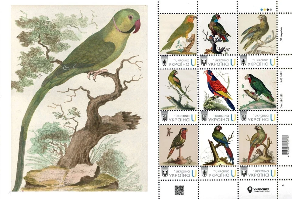 Ucrania 2024, Fauna, Aves, Loros, Hoja 9v Foto 1 de 1