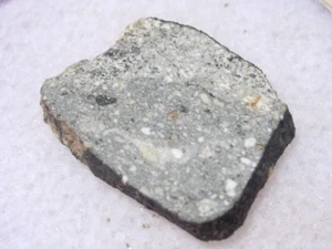 .574 grams NWA 6695 Meteorite Howardite slice fragment with a COA - Picture 1 of 1