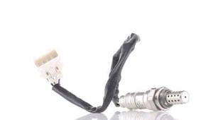 Technologies ES20230-12B1 Sonde A Oxygene - Picture 1 of 5