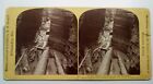 Dells of the Wisconsin River H.H. Bennett Stereoview Photo 431 Cold Water Canon
