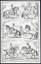 Antique Equestrian Print-NATURAL GAIT-HORSE-GALLOP-Jean Audran-Parrocel-1733