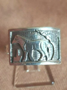 Anillo para caballos, caballo, semental, poni, plata 925%, equitación e indios, talla 61 - Imagen 1 de 5