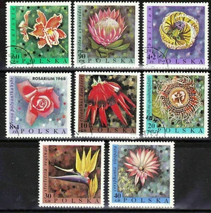 Blumen Polen komplett Satz 1968 цветы flowers fleurs flores fiori 花卉 33 - Bild 1 von 1