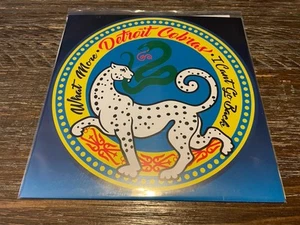 Detroit Cobras "What More/I Can't Go Back" (Vinyl, Third Man, 2018) - Picture 1 of 2