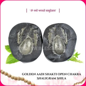 Rare Golden Aadi Shakti Open Chakra Shaligram Shila - EBS73 - Picture 1 of 4
