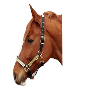 Nylon Halfter Hilly B WARE Schwarz Gold Farben Glitzer Minishetty VB WB XFull