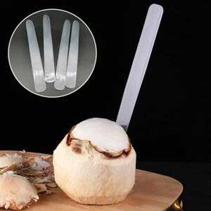 Digging Coconut Tool Plastic Coconut Meat Remover Washable Coconut Knife TooZT - Picture 1 of 10